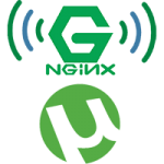 Configure uTorrent Reverse Proxy nginx Windows