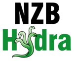 Install NZBHydra on Debian for Universal Usenet Searching