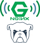 Configure Monit Reverse Proxy nginx Linux